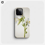 2-39_Mary-Vaux-Walcott_phone