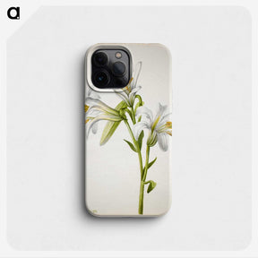 2-39_Mary-Vaux-Walcott_phone