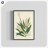 2-39_Medical-Botany_blk-crop