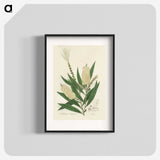 2-39_Medical-Botany_blk