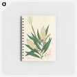 アートメモ帳-Melaleuca cajuputi Illustration
 - 薬用植物学 Memo.