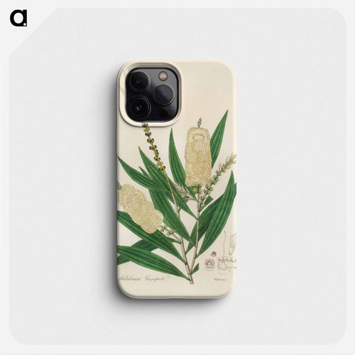 Melaleuca cajuputi Illustration
 - 薬用植物学 Phone Case.