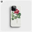 2-39_Pierre-Joseph-Redoute_phone
