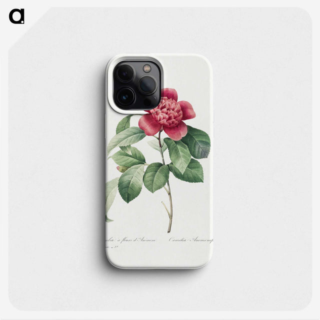 2-39_Pierre-Joseph-Redoute_phone