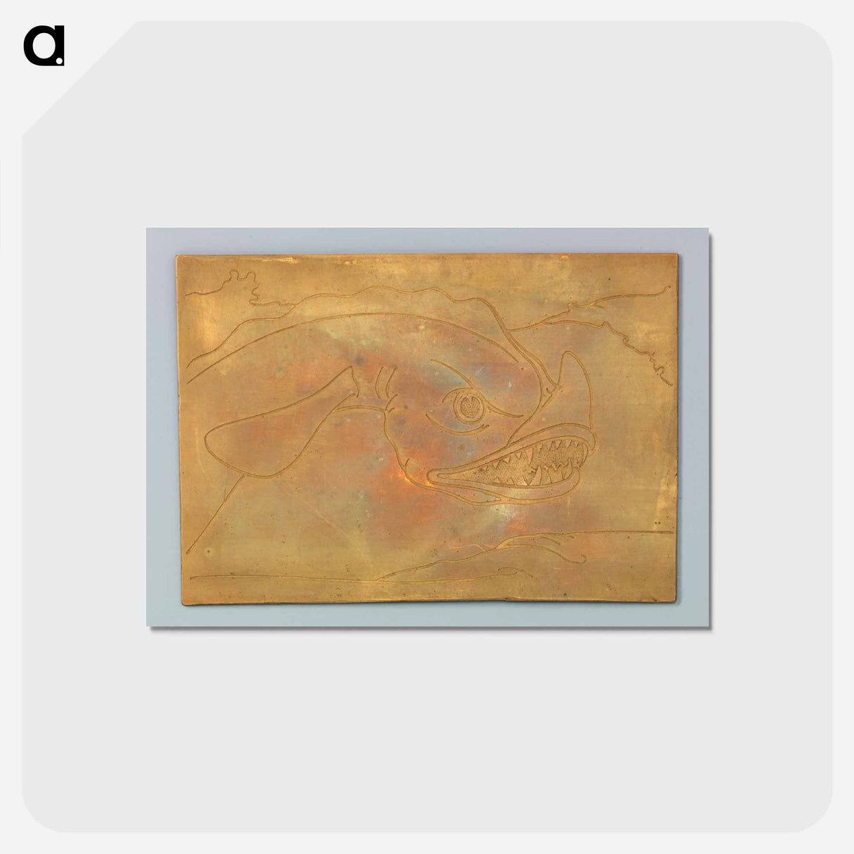 Haai
 - サミュエル ジェスルン Postcard.