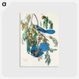 アートポストカード-Florida Jay from Birds of America
 - アメリカの鳥たち Postcard.