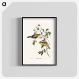 アートポスター-Australian Bell Bird
 - オーストラリアの鳥 Poster.