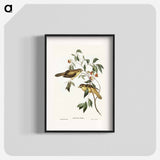 Australian Bell Bird
 - オーストラリアの鳥 Poster.