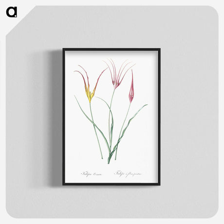 2-39_The-Lilies_blk-crop