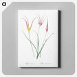 2-39_The-Lilies_canvas