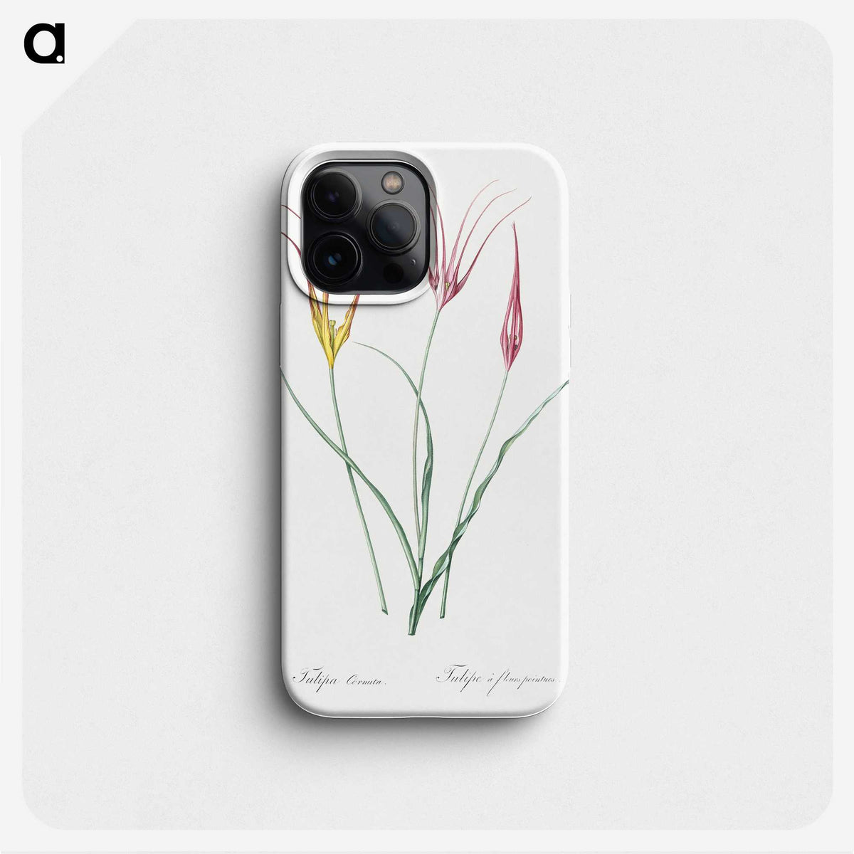 2-39_The-Lilies_phone