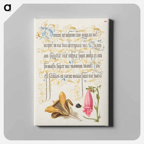 アートパネル-Cloth of Gold Crocus, Beetle, and Foxglove from Mira Calligraphiae Monumenta or The Model Book of Calligraphy
 - 書道のお手本 Canvas.