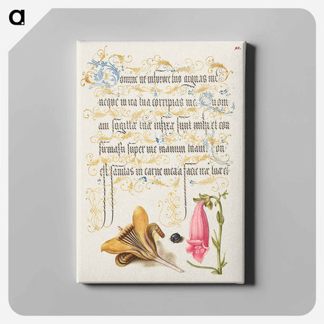 アートパネル-Cloth of Gold Crocus, Beetle, and Foxglove from Mira Calligraphiae Monumenta or The Model Book of Calligraphy
 - 書道のお手本 Canvas.