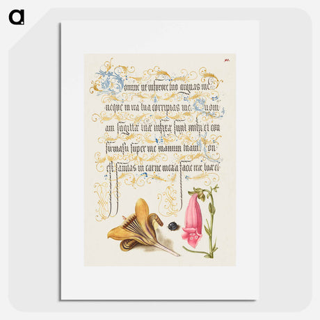 アートポスター-Cloth of Gold Crocus, Beetle, and Foxglove from Mira Calligraphiae Monumenta or The Model Book of Calligraphy
 - 書道のお手本 Poster.