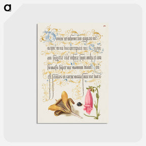 アートポストカード-Cloth of Gold Crocus, Beetle, and Foxglove from Mira Calligraphiae Monumenta or The Model Book of Calligraphy
 - 書道のお手本 Postcard.