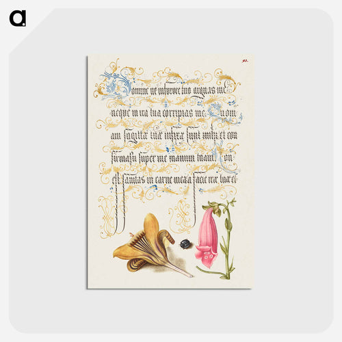 Cloth of Gold Crocus, Beetle, and Foxglove from Mira Calligraphiae Monumenta or The Model Book of Calligraphy
 - 書道のお手本 Postcard.