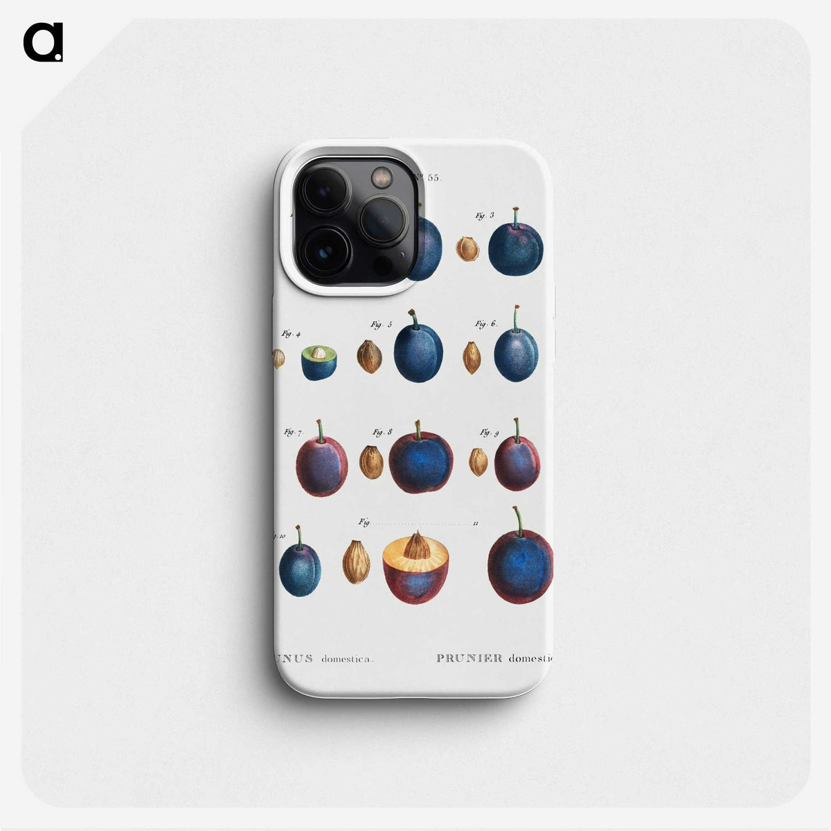 2-39_Treatise-on-Trees-and-Shrubs_phone