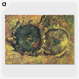 2-39_Vincent-van-Gogh_picture-crop