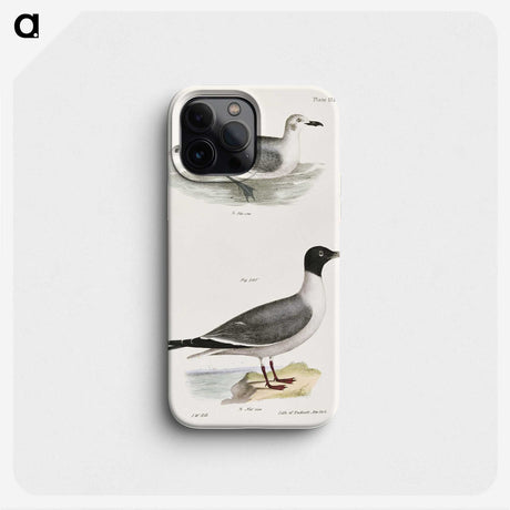 2-39_Zoology-of-New-York_phone