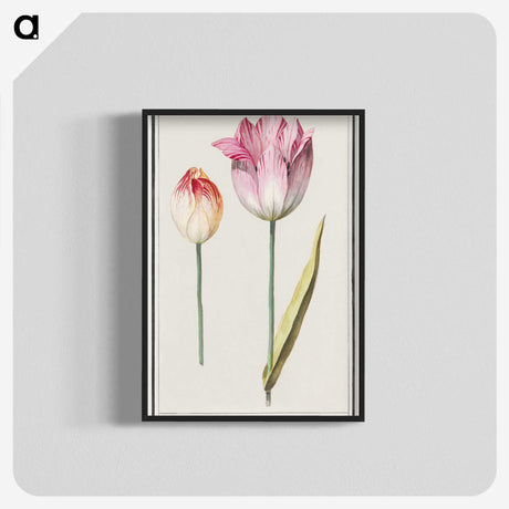 2-3_Anselmus-Boetius-de-Boodt_blk-crop