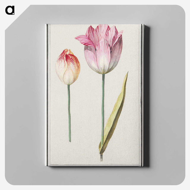 2-3_Anselmus-Boetius-de-Boodt_canvas