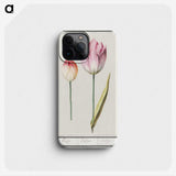 2-3_Anselmus-Boetius-de-Boodt_phone