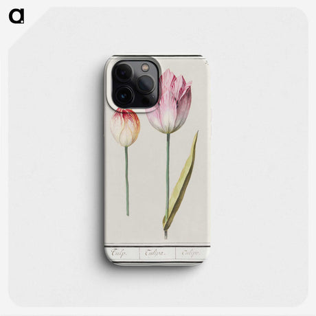 2-3_Anselmus-Boetius-de-Boodt_phone