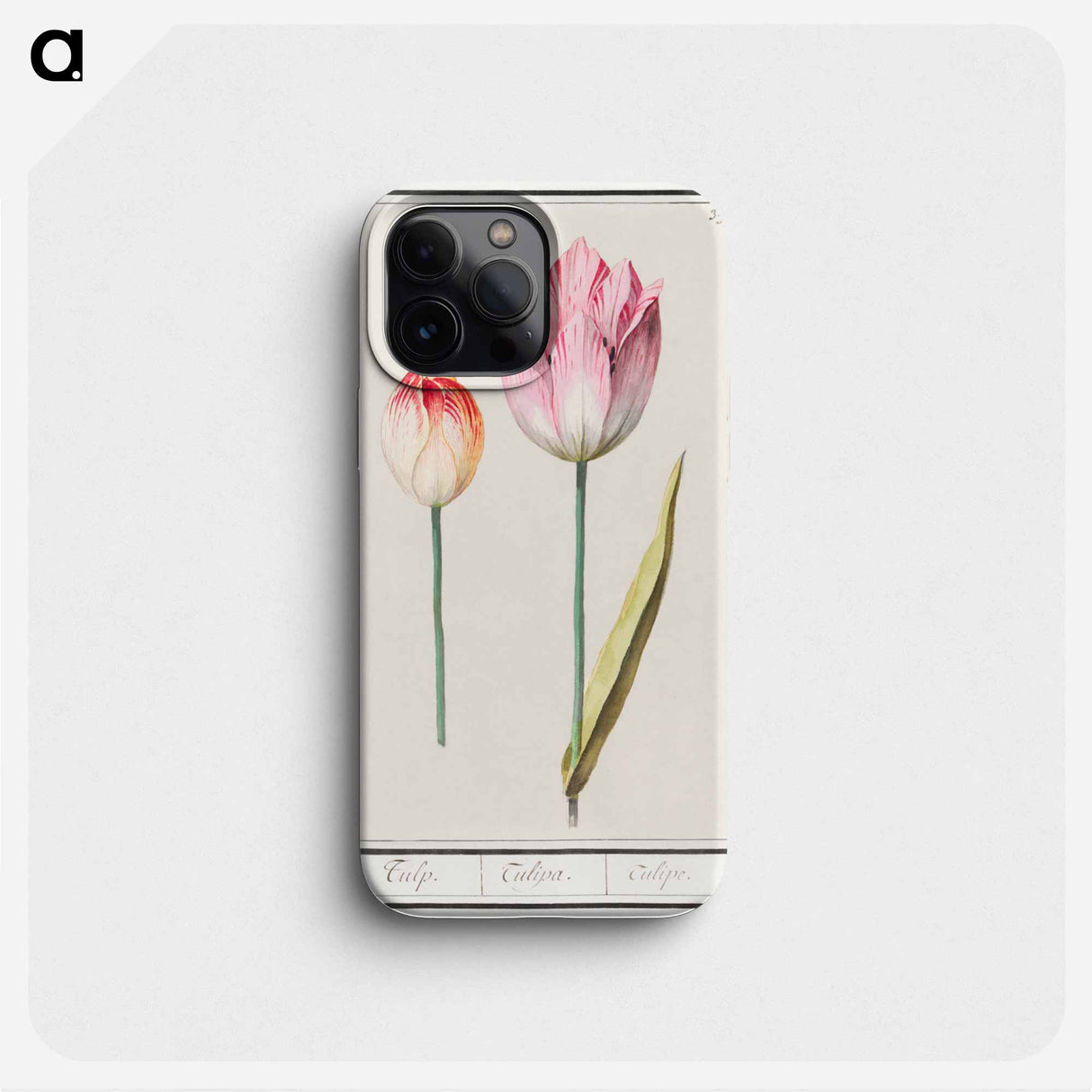 Tulip - アンセルムス ボエティウス デ ブート Phone Case.