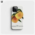 2-3_Botanical-Specimen-Plates_phone