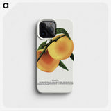 2-3_Botanical-Specimen-Plates_phone