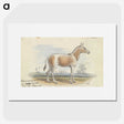 2-3_Charles-Hamilton-Smith_picture
