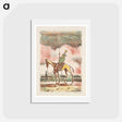 アートポストカード-Don Quixote
 - シプリアン マジェルニク Postcard.