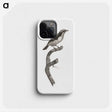 2-3_Des-Oiseaux-de-Paradis_phone
