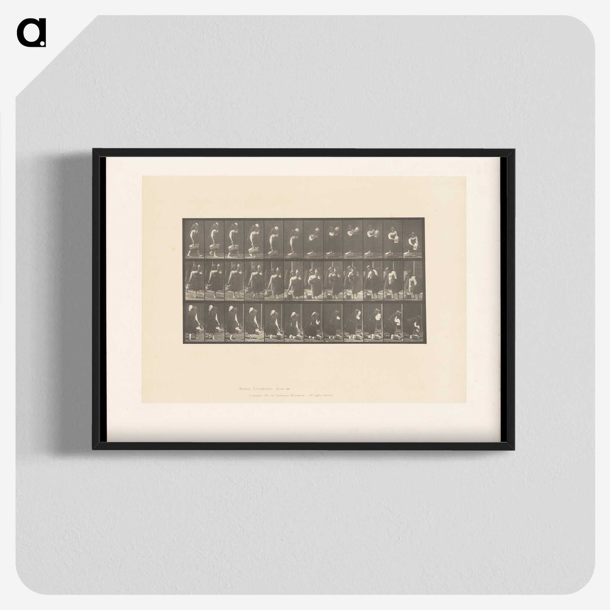 2-3_Eadweard-Muybridge_blk-crop