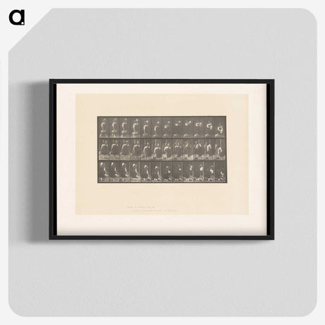 2-3_Eadweard-Muybridge_blk-crop