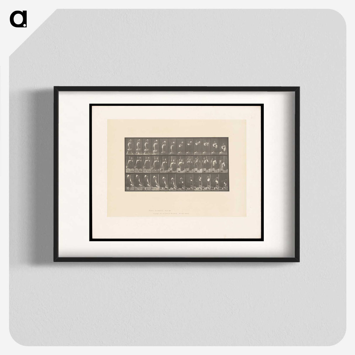 2-3_Eadweard-Muybridge_blk