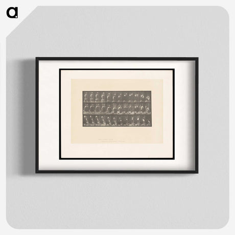 2-3_Eadweard-Muybridge_blk
