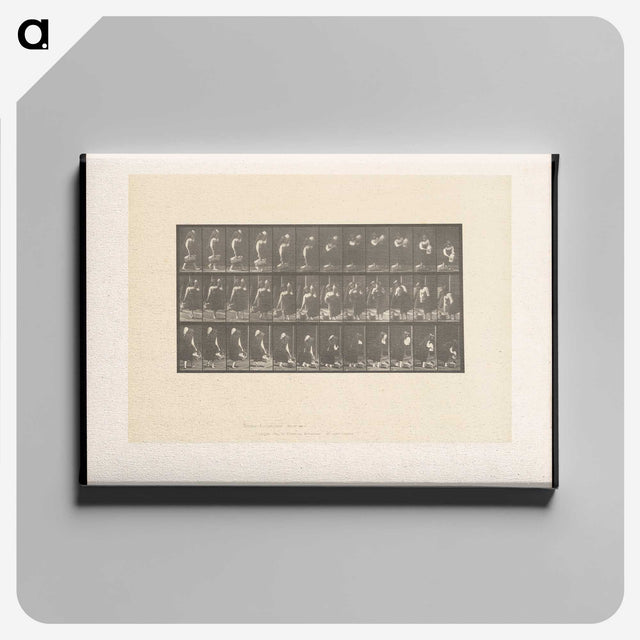 2-3_Eadweard-Muybridge_canvas