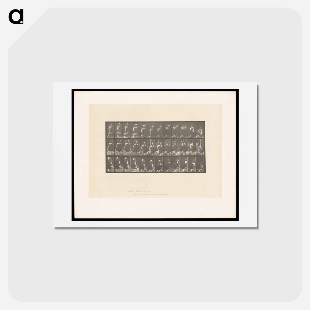 アートポストカード-Woman with Basket and Jar
 - エドワード マイブリッジ Postcard.