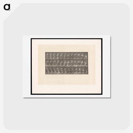 アートポストカード-Woman with Basket and Jar
 - エドワード マイブリッジ Postcard.