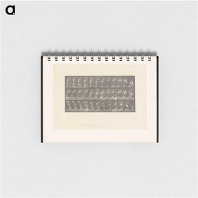 2-3_Eadweard-Muybridge_memo