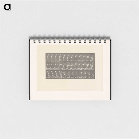 2-3_Eadweard-Muybridge_memo