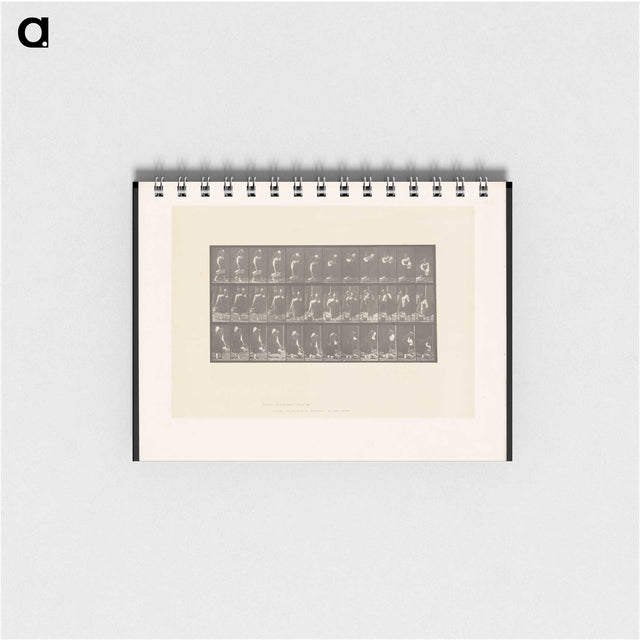 2-3_Eadweard-Muybridge_memo