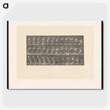 2-3_Eadweard-Muybridge_picture-crop
