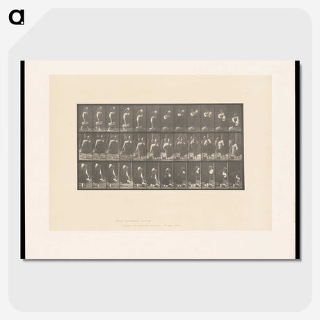 2-3_Eadweard-Muybridge_picture-crop