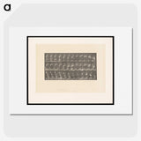 2-3_Eadweard-Muybridge_picture