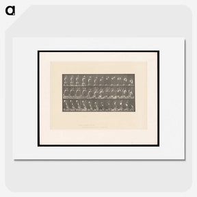 2-3_Eadweard-Muybridge_picture
