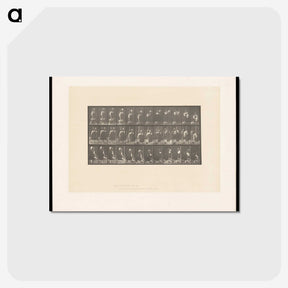 2-3_Eadweard-Muybridge_postcard