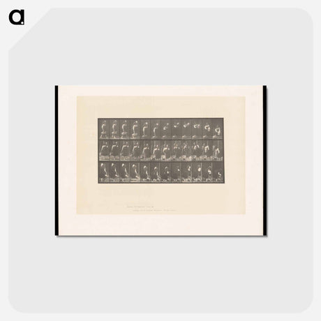 アートポストカード-Woman with Basket and Jar
 - エドワード マイブリッジ Postcard.