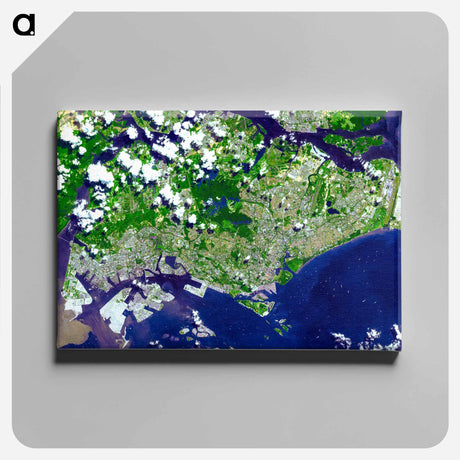 アートパネル-Singapore from Space
 - 上空からの地球 Canvas.